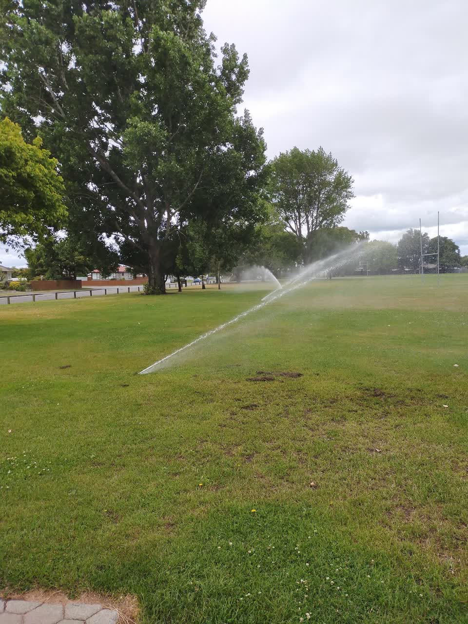 The photograph attached to this parks report