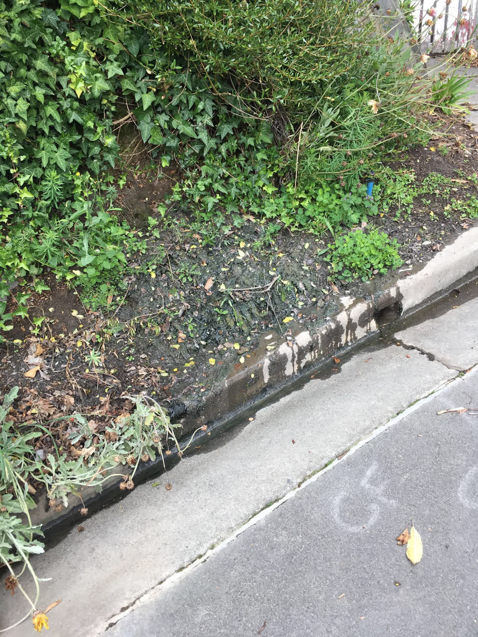 The photograph attached to this sewer - leak / blockage report