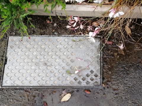 Water Leak, a report photo