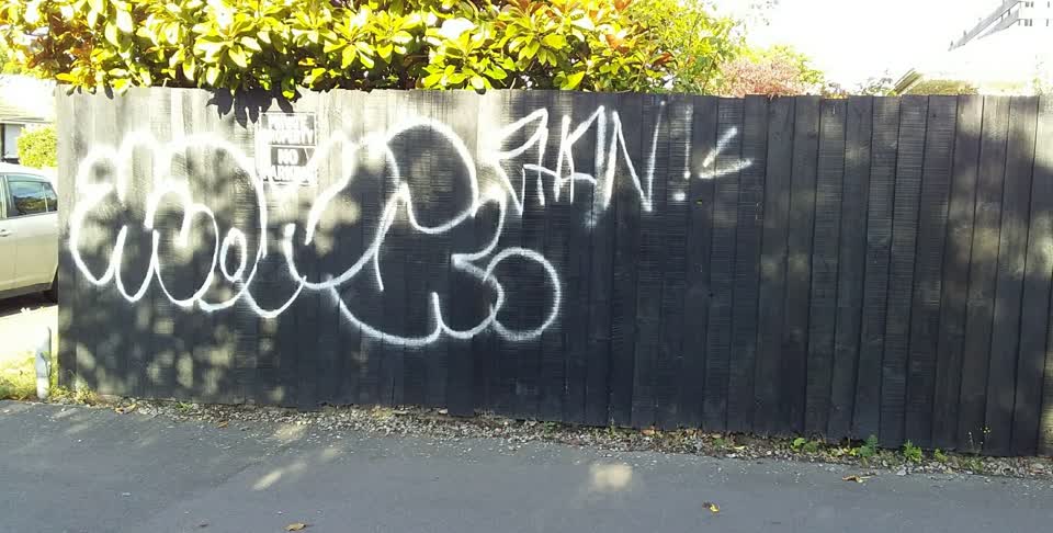 The photograph attached to this graffiti report