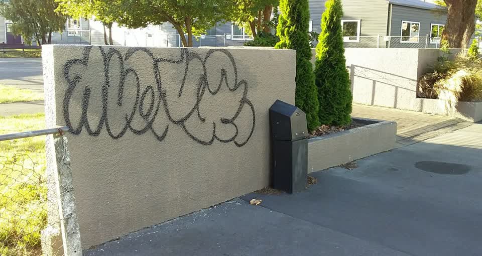 The photograph attached to this graffiti report