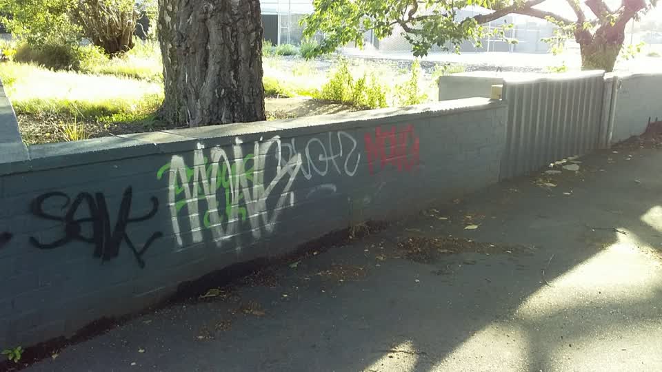 The photograph attached to this graffiti report