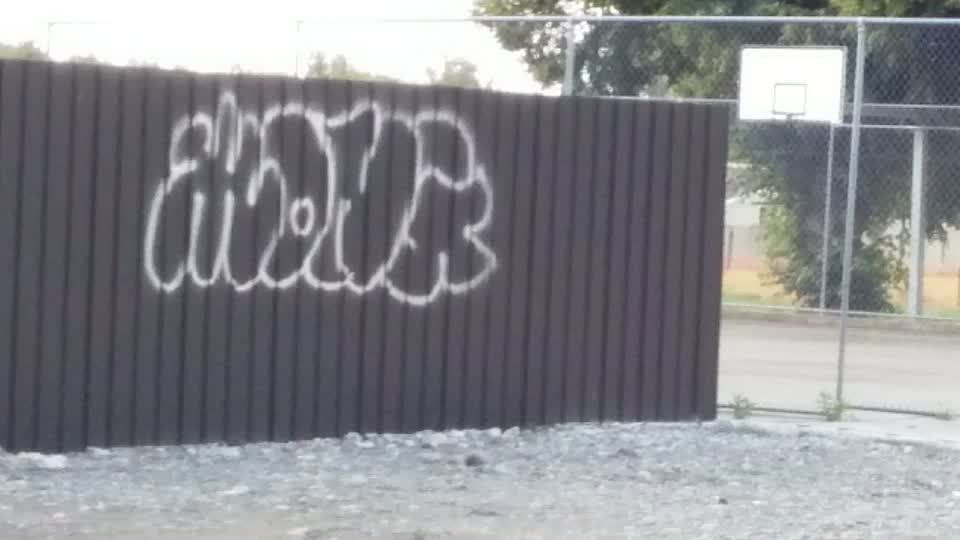 The photograph attached to this graffiti report