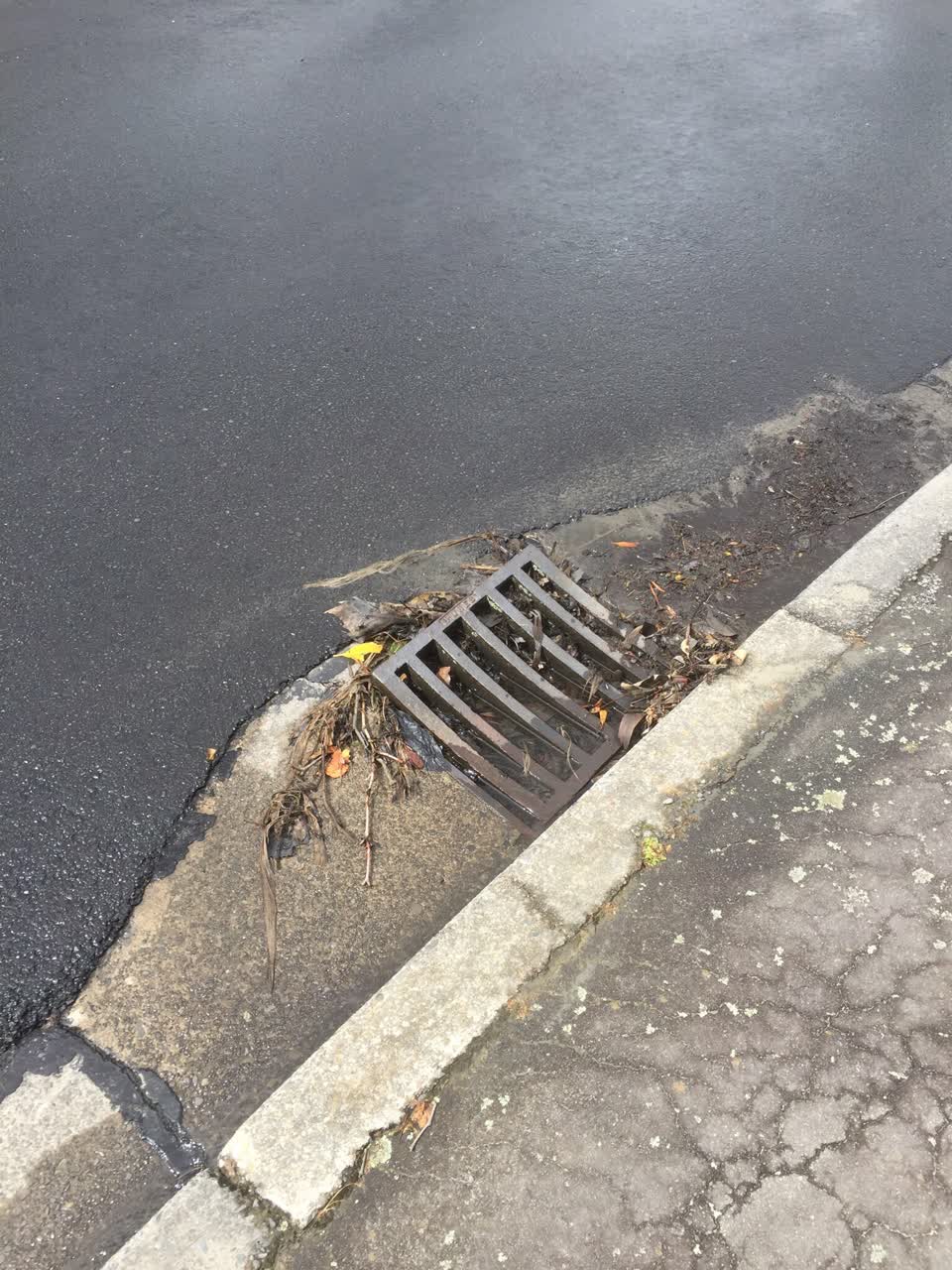The photograph attached to this wastewater/stormwater report