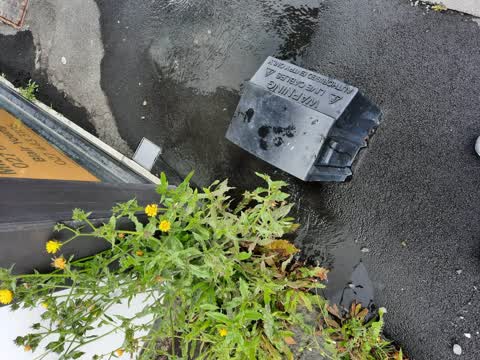 Sewer - Leak / Blockage, a report photo