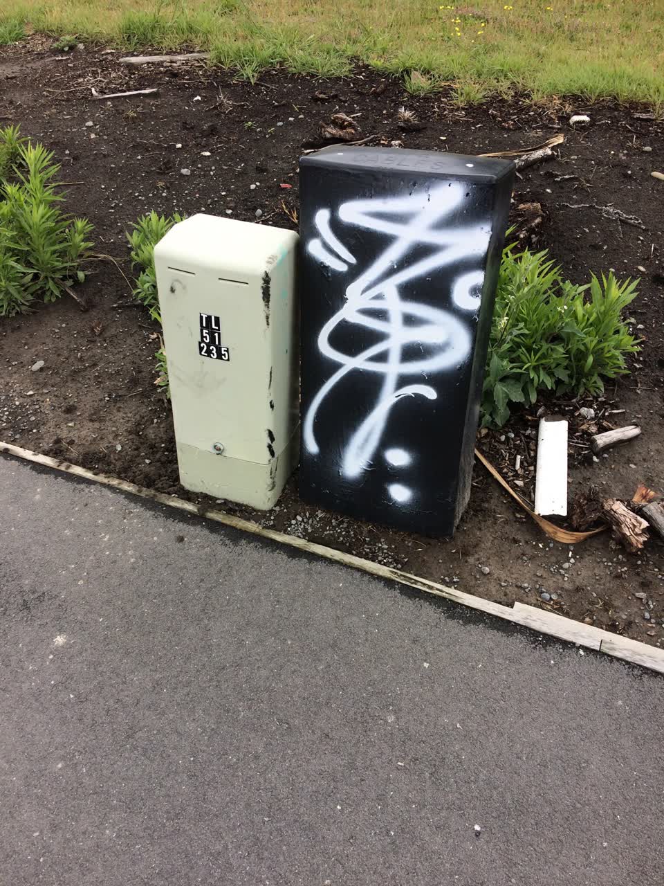 The photograph attached to this graffiti report
