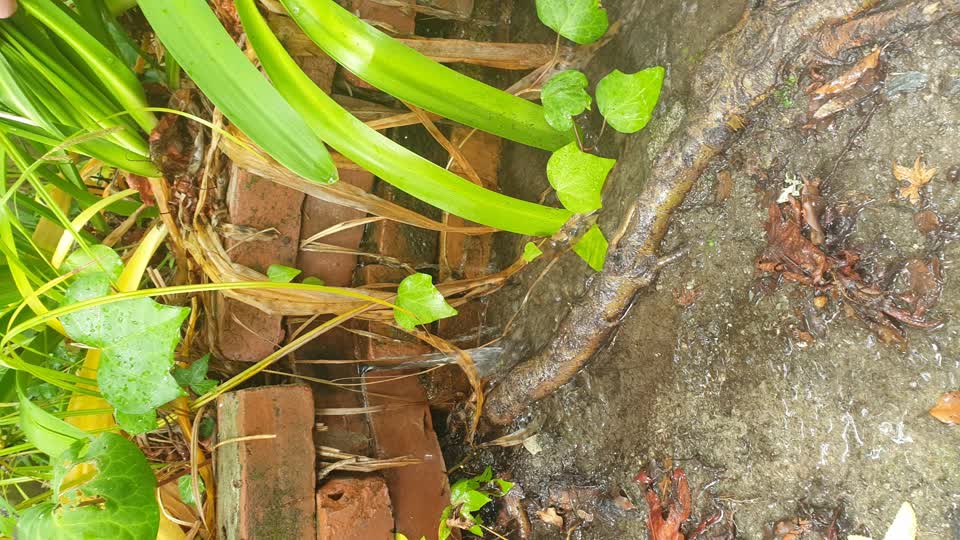 The photograph attached to this wastewater/stormwater report