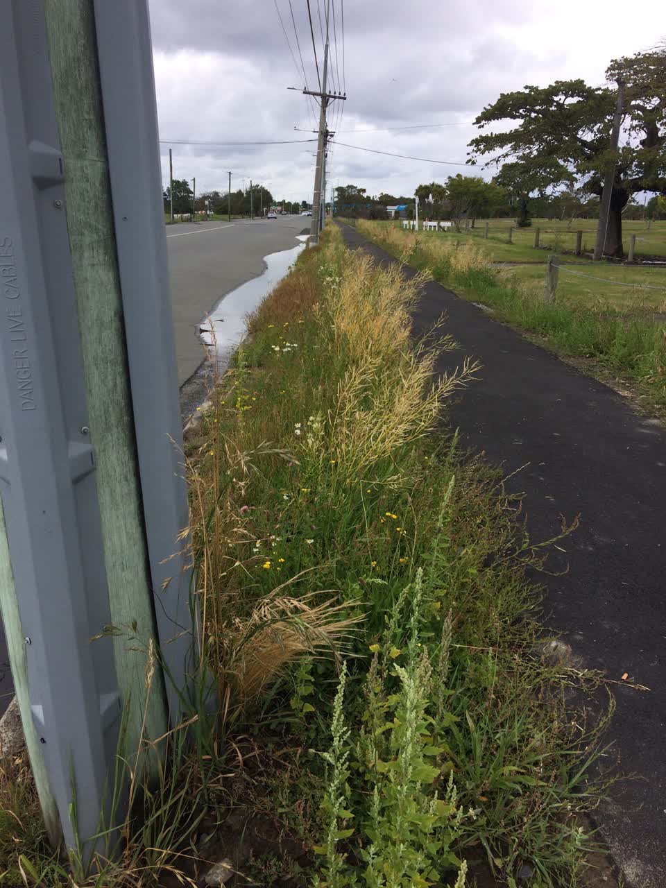 The photograph attached to this parks report