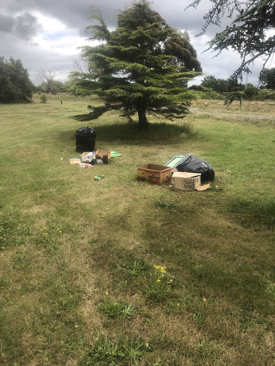 The photograph attached to this rubbish/recycling report