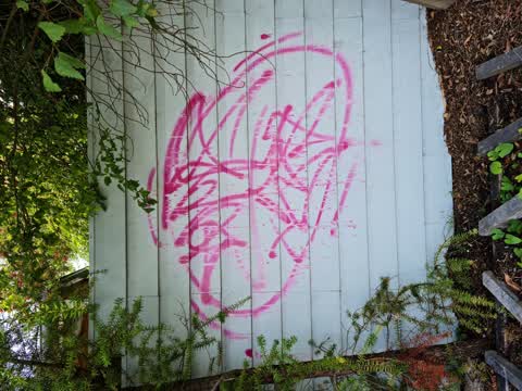 Graffiti, a report photo