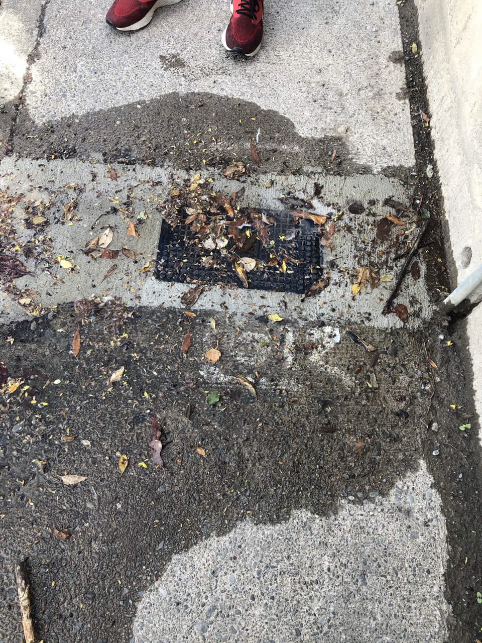 The photograph attached to this water leak report