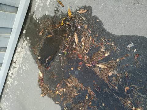 Water Leak, a report photo