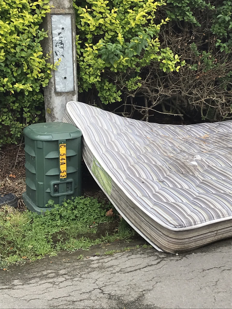 The photograph attached to this rubbish/recycling report