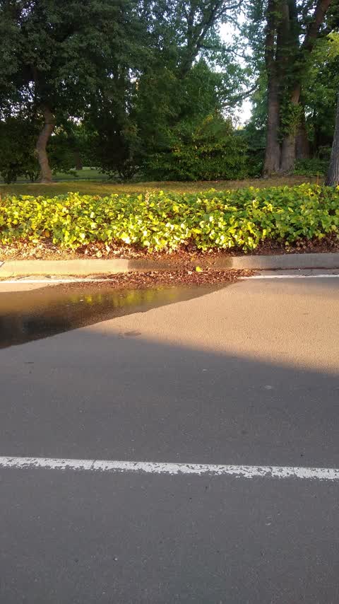 Water Leak, a report photo