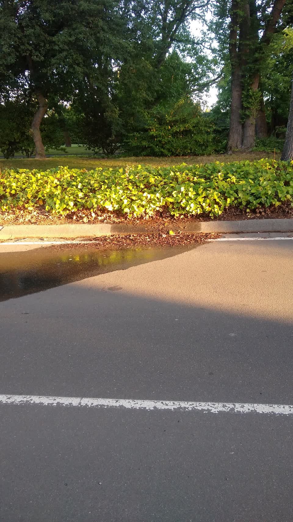 The photograph attached to this water leak report