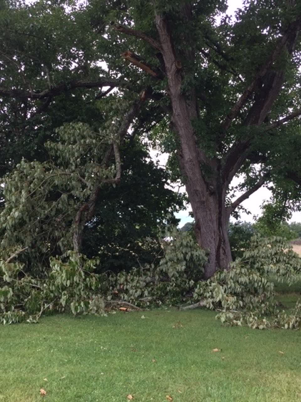 The photograph attached to this parks report