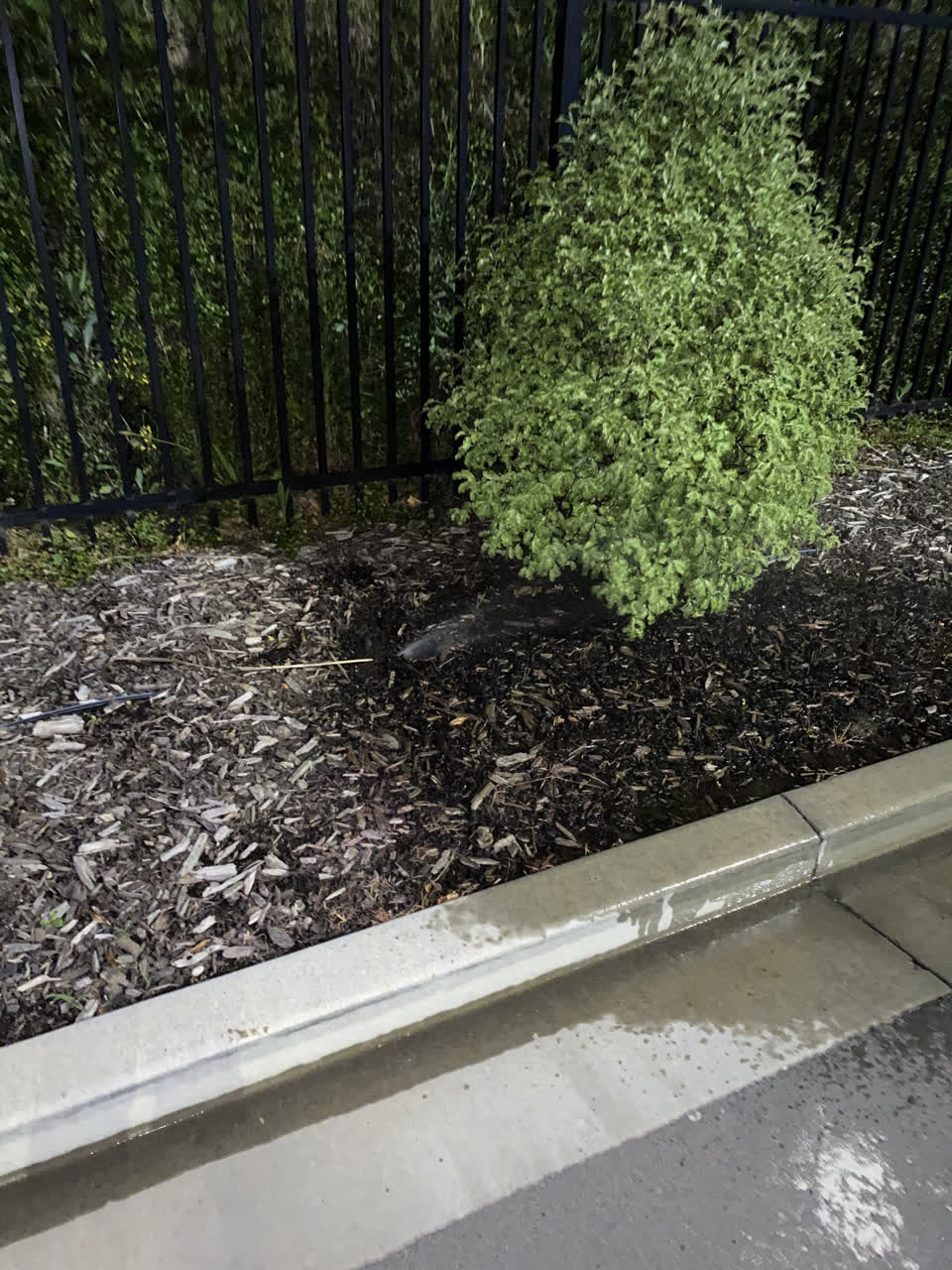 The photograph attached to this parks report
