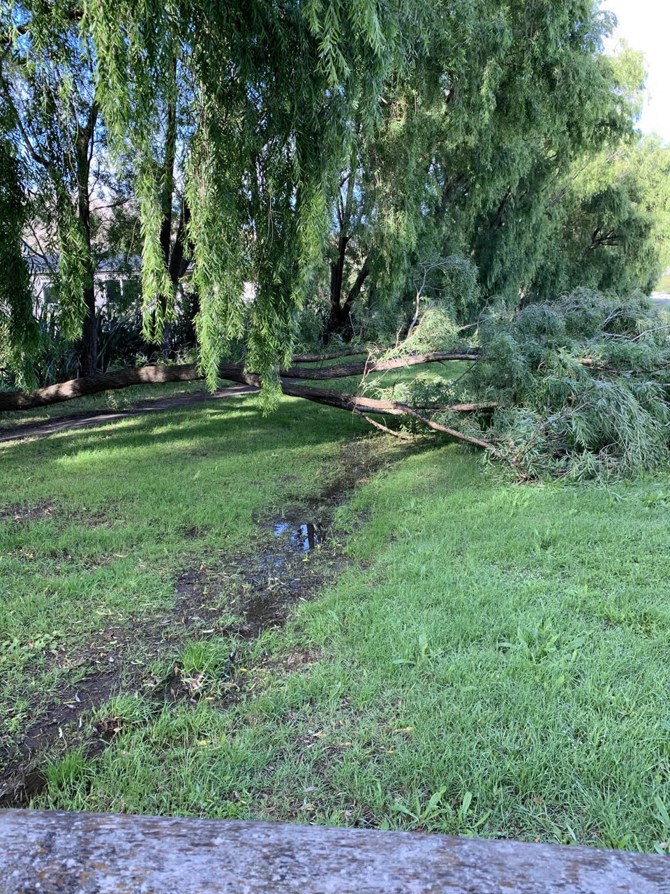 The photograph attached to this parks report