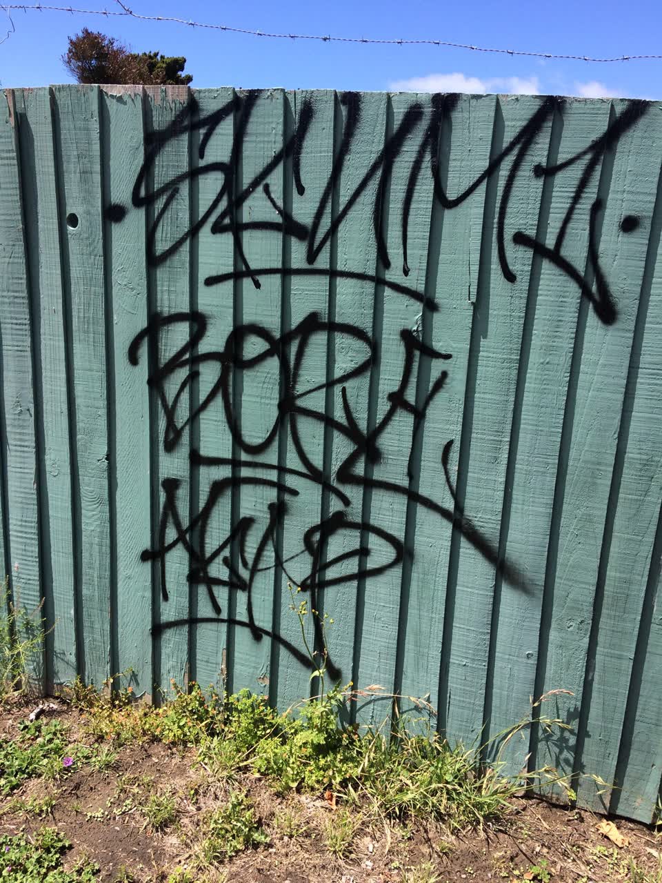 The photograph attached to this graffiti report