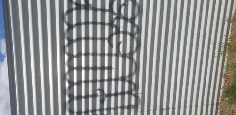 Graffiti, a report photo