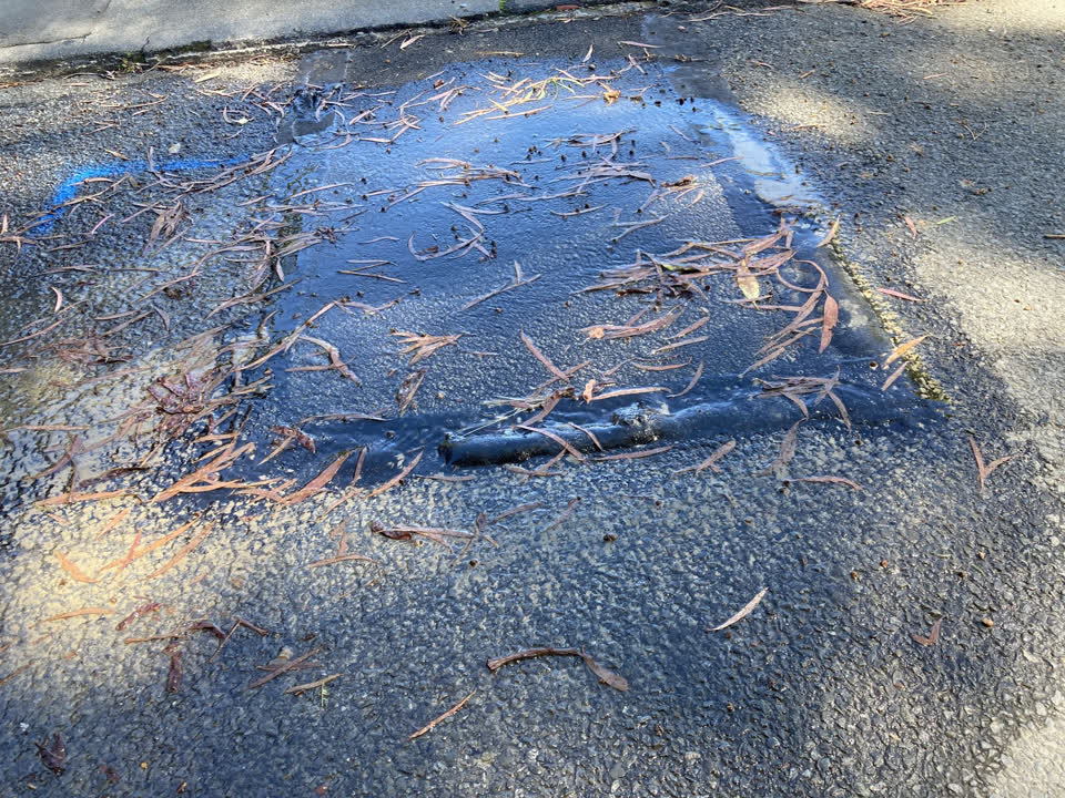 The photograph attached to this water leak report
