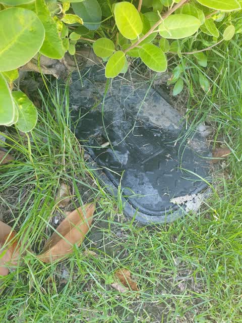 Water Supply, a report photo