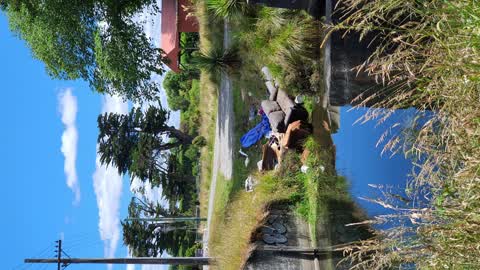 Rubbish/Recycling, a report photo