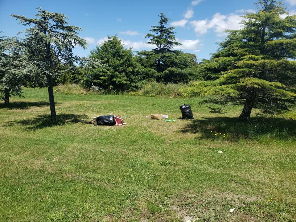 The photograph attached to this rubbish/recycling report