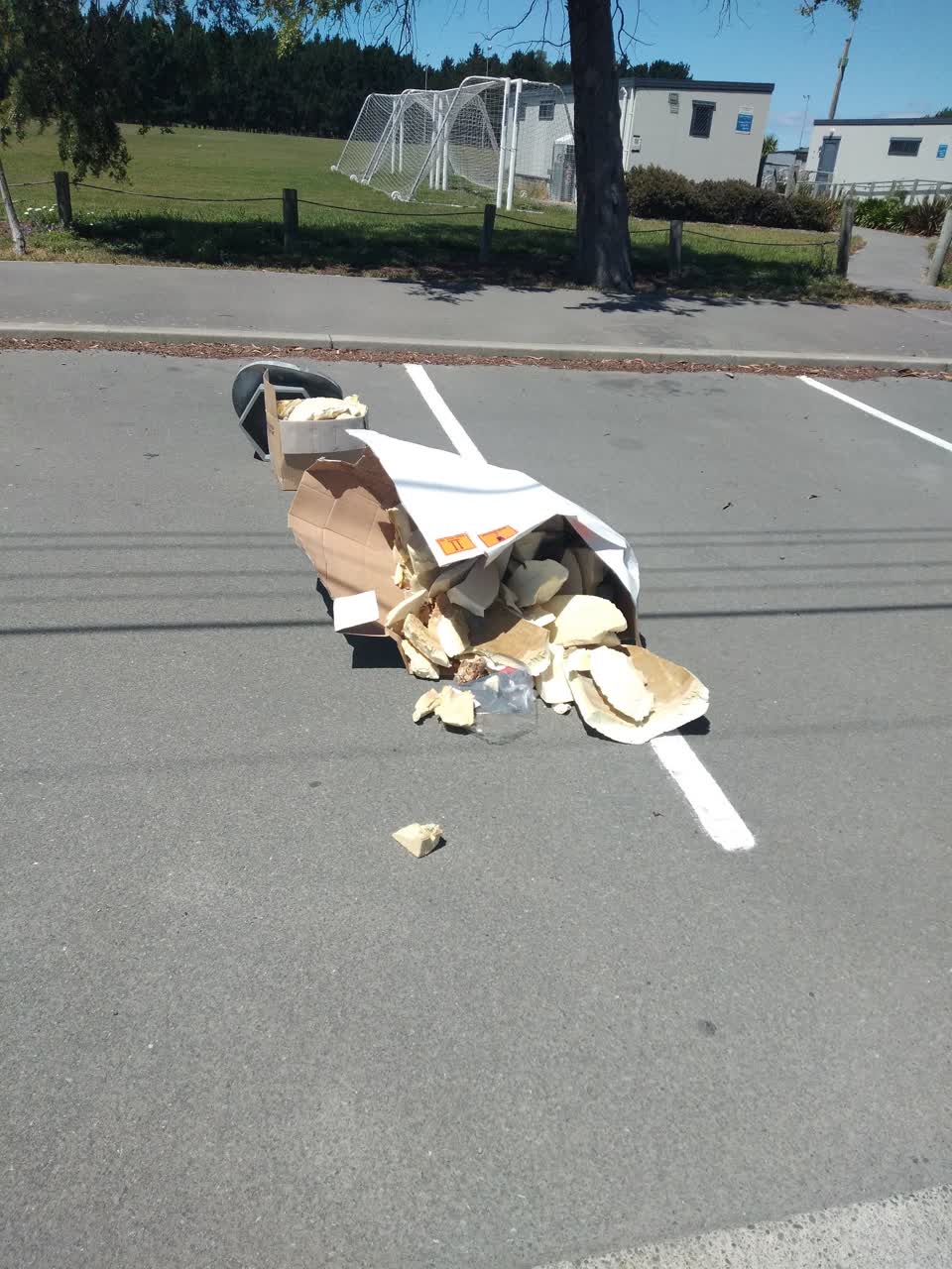 The photograph attached to this rubbish/recycling report