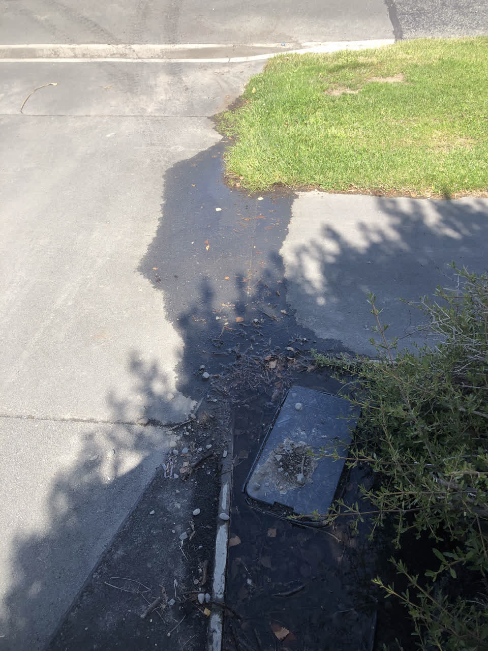 The photograph attached to this water leak report
