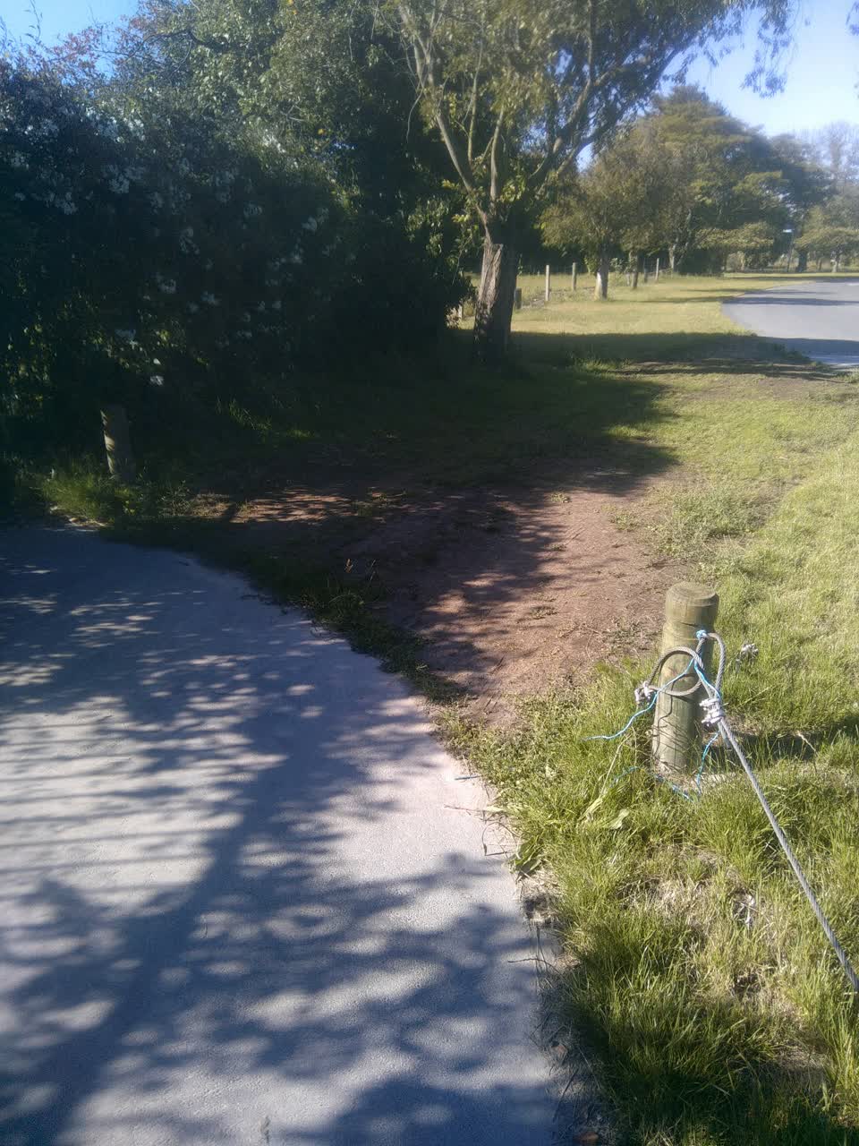 The photograph attached to this parks report