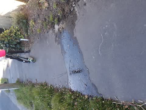 Water Leak, a report photo