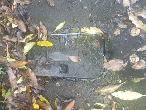 Water Leak, a report photo