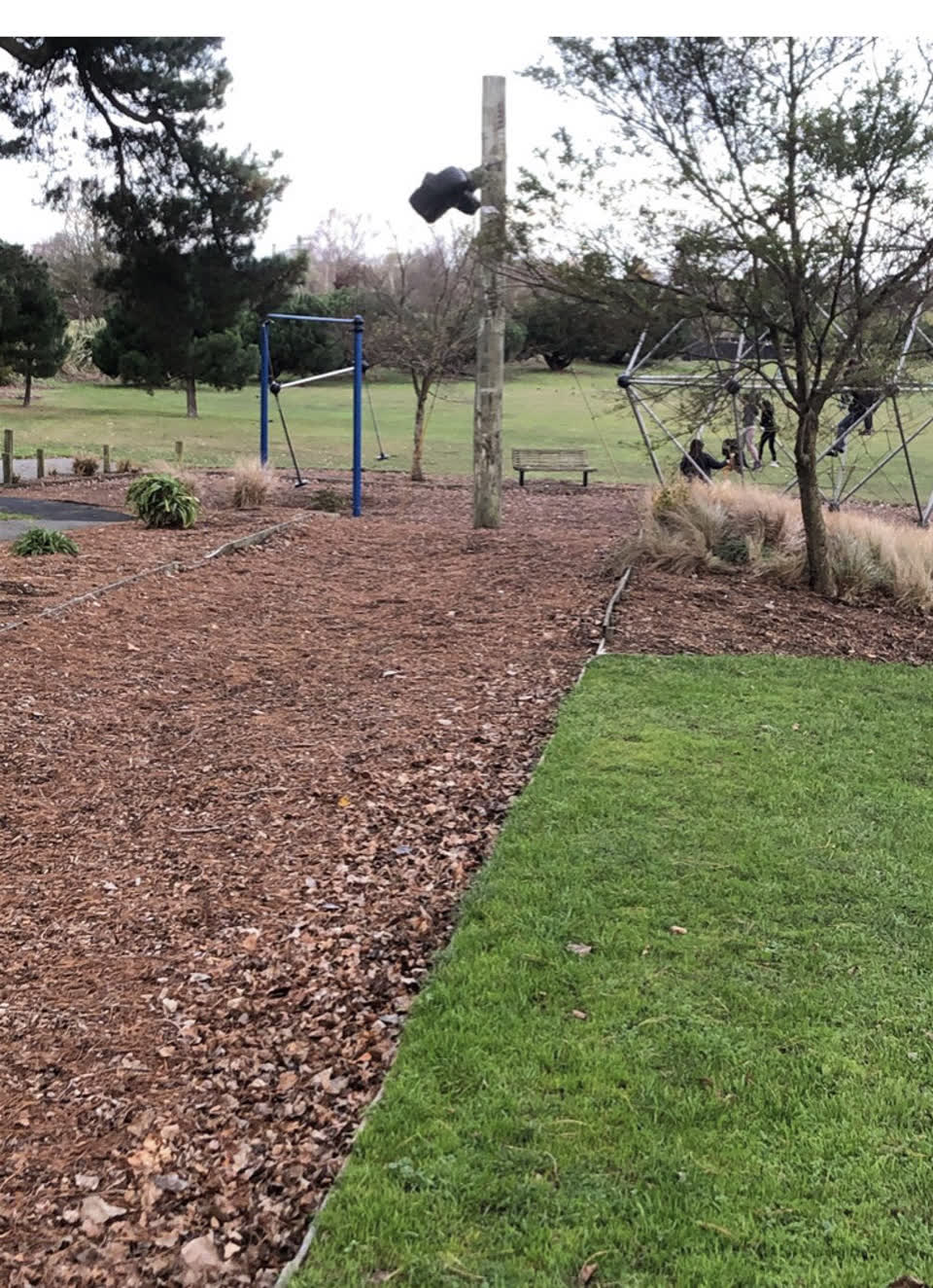 The photograph attached to this parks report