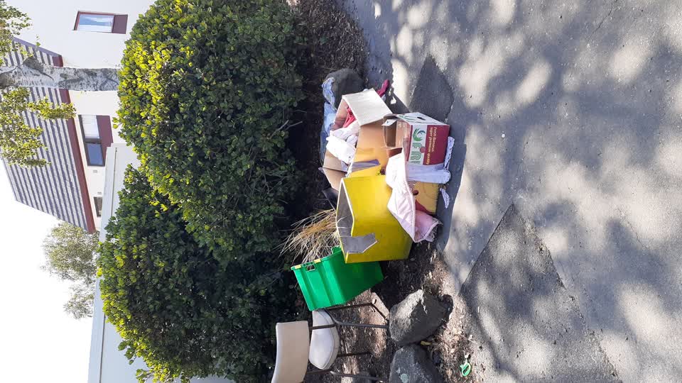 The photograph attached to this rubbish/recycling report