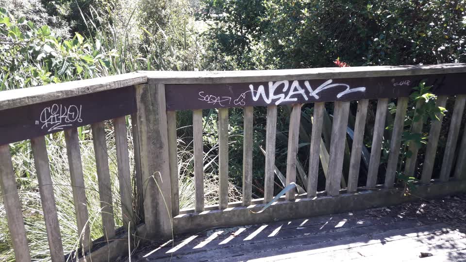 The photograph attached to this graffiti report