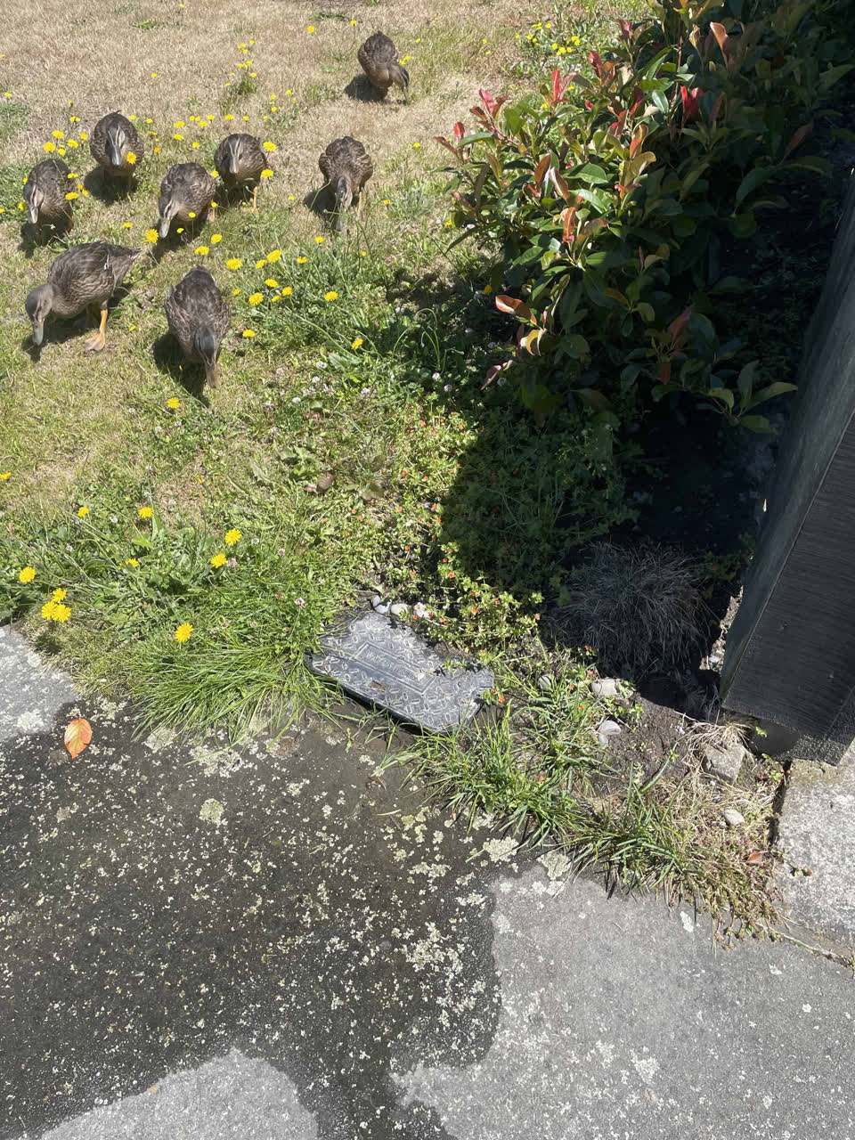 The photograph attached to this flooding report