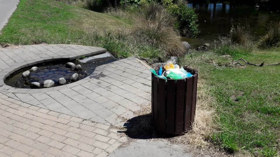 The photograph attached to this parks report