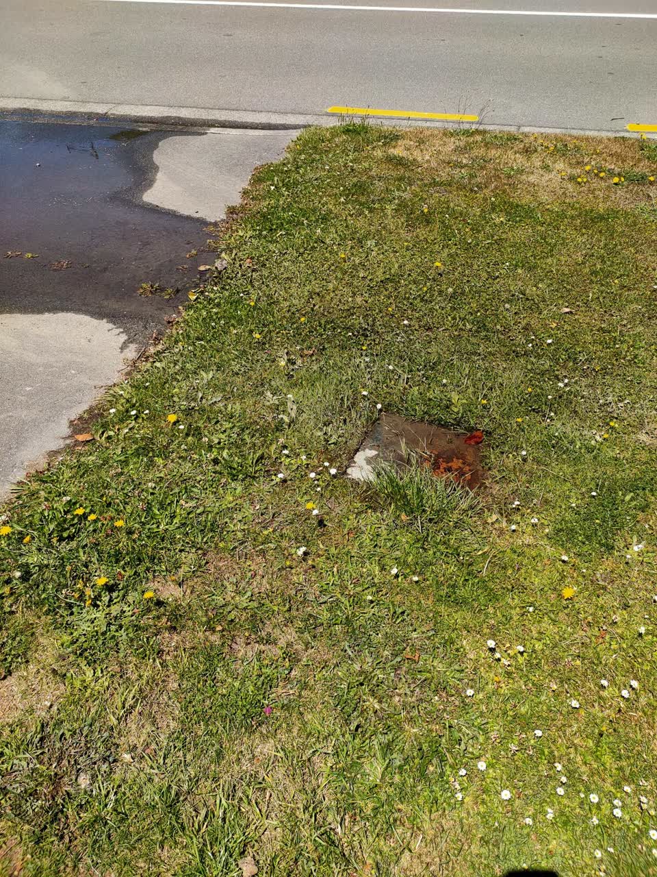 The photograph attached to this water supply report