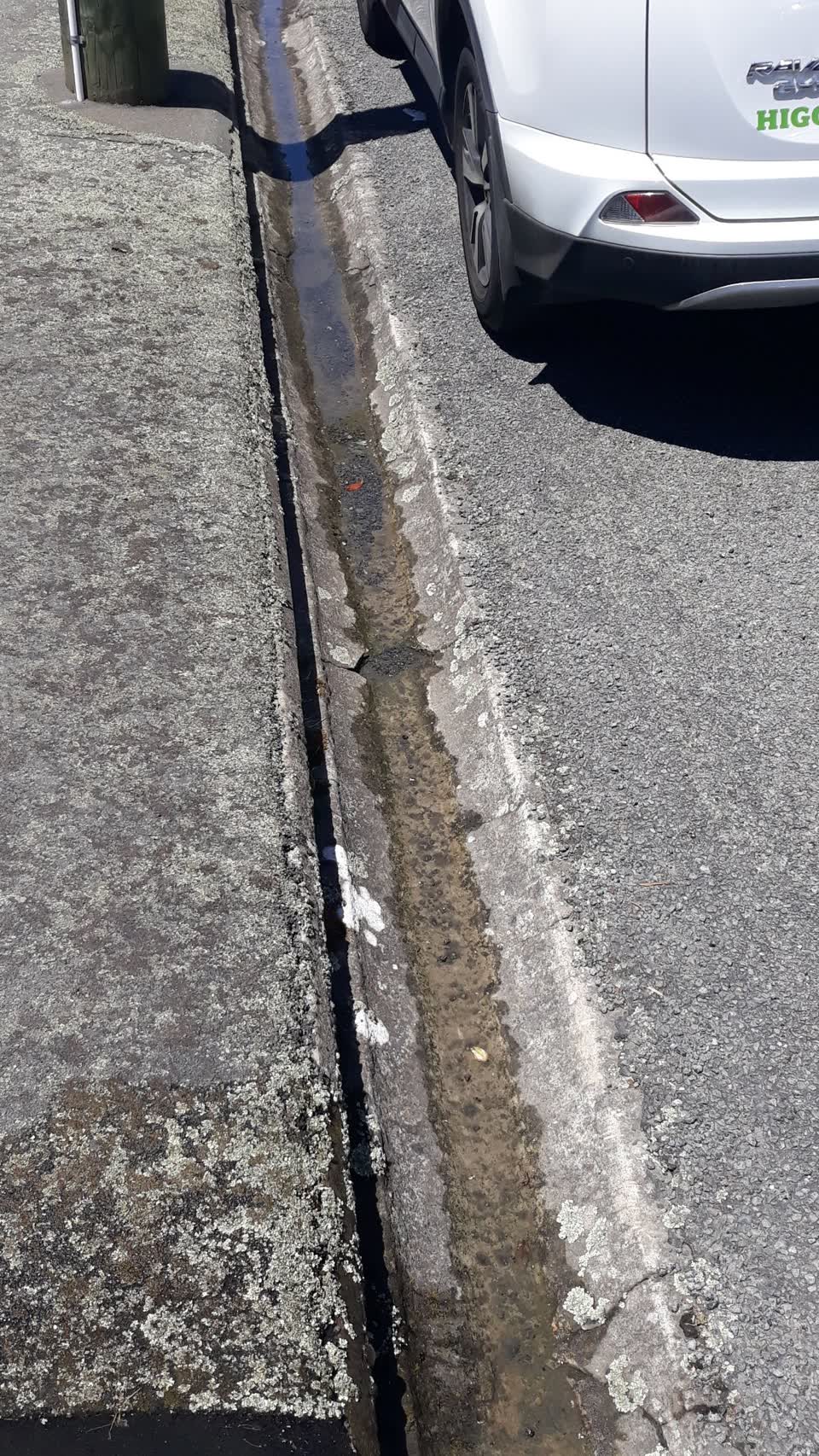 The photograph attached to this water supply report