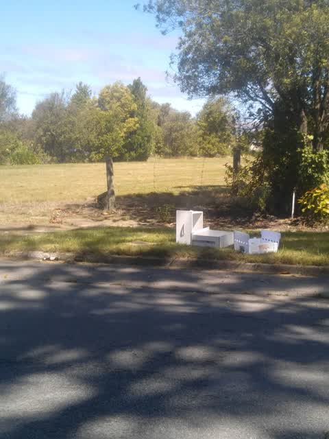 Rubbish/Recycling, a report photo
