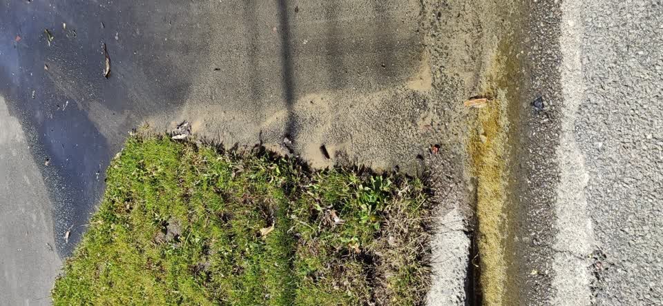 The photograph attached to this water leak report
