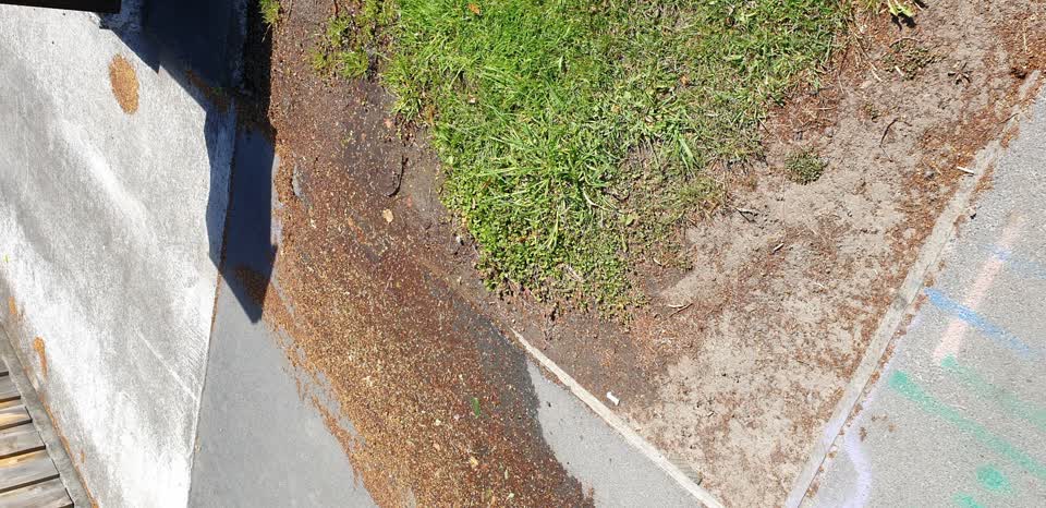 The photograph attached to this water leak report