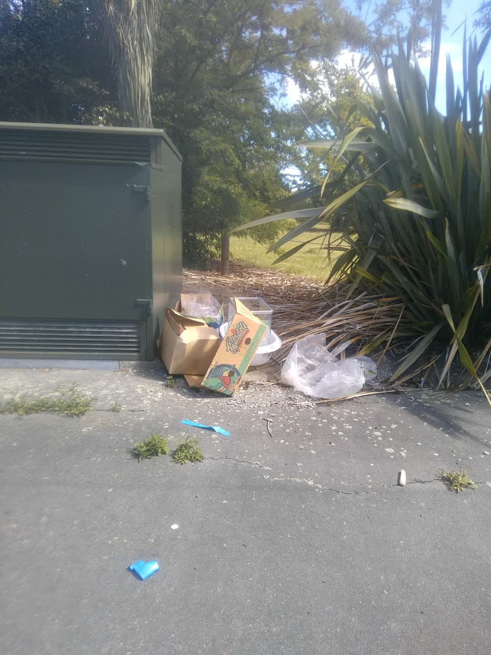 The photograph attached to this rubbish/recycling report