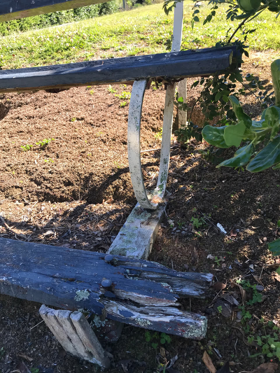 The photograph attached to this parks report