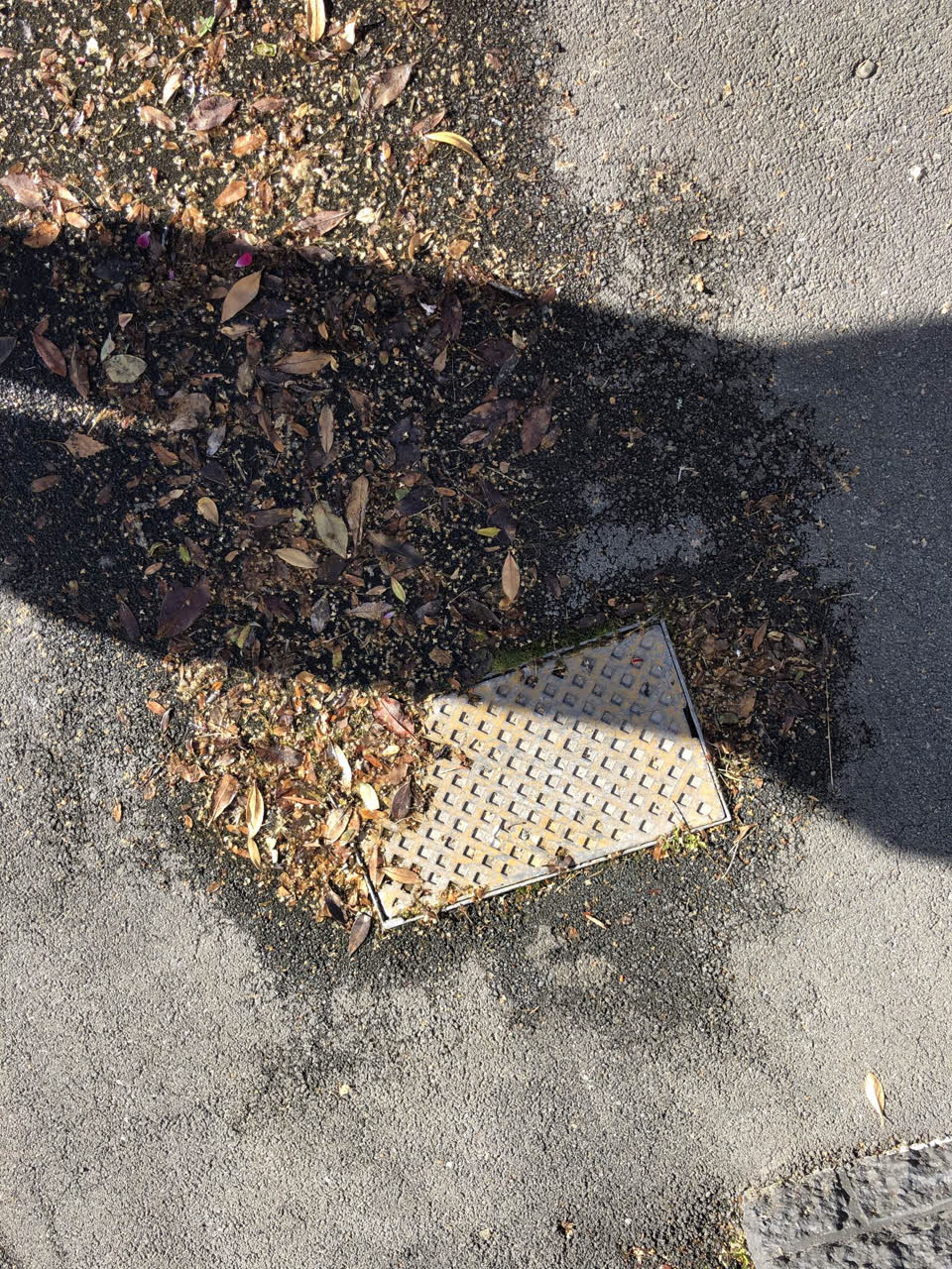 The photograph attached to this water leak report
