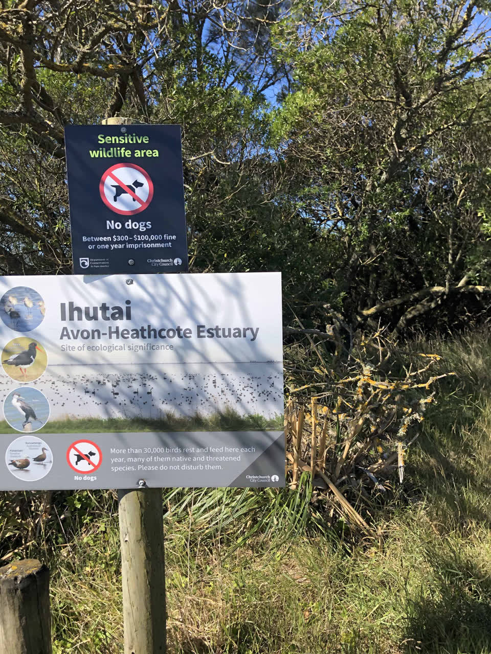 The photograph attached to this parks report