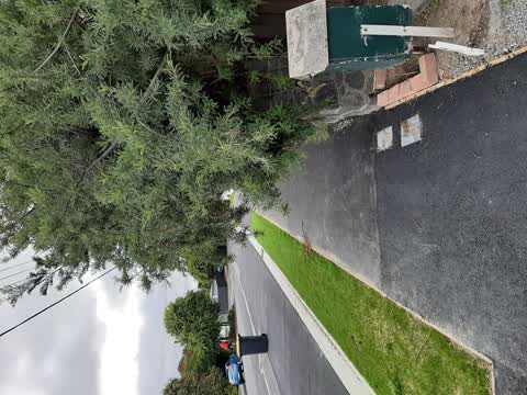 Street Light Outage, a report photo