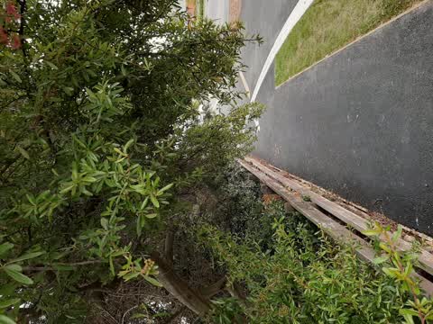 Street Light Outage, a report photo