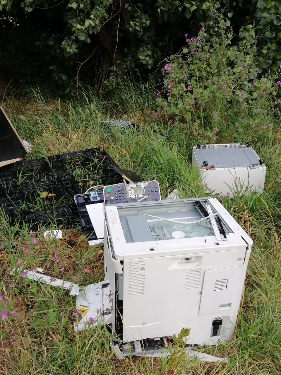 The photograph attached to this rubbish/recycling report